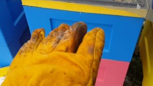 Мой метод вентиляции,  в ульях Лысонь.