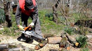 Почему двигатель бензопилы заводится и сразу глохнет#