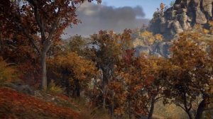 Музыка для сна, Звуки птиц, Атмосфера осеннего леса