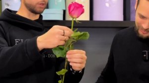 🌹 КАК ПРАВИЛЬНО РАБОТАТЬ С РОЗАМИ? Как принимать, нап?