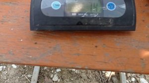 Слива Формоза.