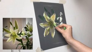 Бесплатный мастер-класс. Цветок лилии пастелью. Подро?