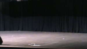 Алика Венская (Ермощенко) - Вариации Принцесса Флорина