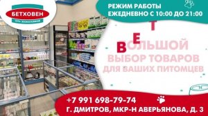 ТРАНСМЕДИА - Зоомагазин "Бетховен"