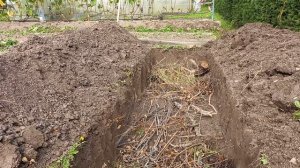 траншеи для посадки винограда в сибири