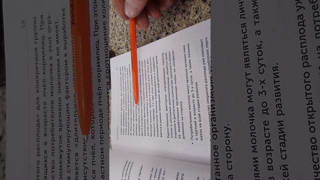 Разный рисунок расплода при развитии, при разных усло? смотреть онлайн