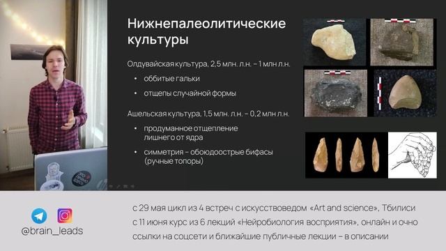 Нейробиология поведения. Префронтальная кора