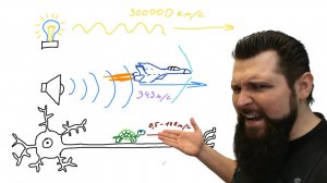 Нейрон для чайников! (часть первая "Нервный импульс"). Нейробиология. Лекция 5