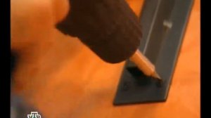 Растительная жизнь. В гостях у Бориса Моисеева (2006)