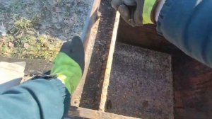 Подготовка улья к заселению пчелами.