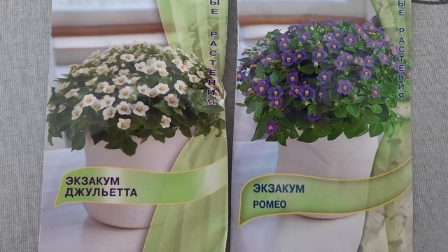 Мои посевы в феврале. Начинаем цветочный сезон смотреть онлайн