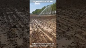 Спринклерный полив люцерны в Армении лучшим бюджетны?