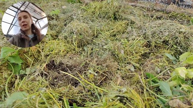 Почва в тёплой грядке. #природноеземледелие #пермакул смотреть онлайн