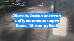 Житель Омска похитил с «Пушкинских карт» более 45 млн рублей