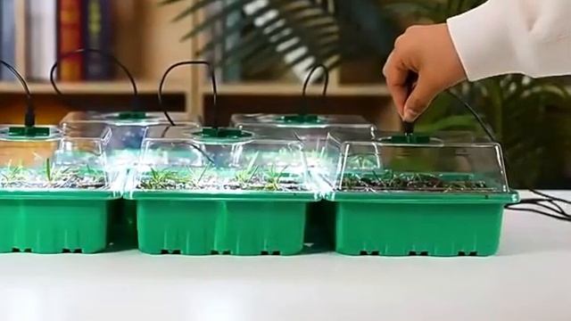 Мини теплица для выращивания рассады LED Mini greenhouse for growin смотреть онлайн