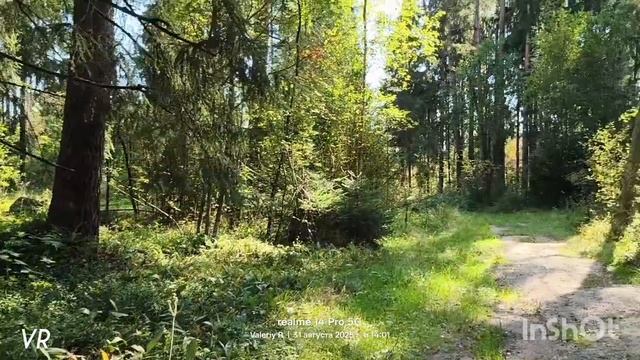 Прогулка в подмосковном лесу #25, от деревни Соколово до Горьковского шоссе 31.08.2025 смотреть онлайн