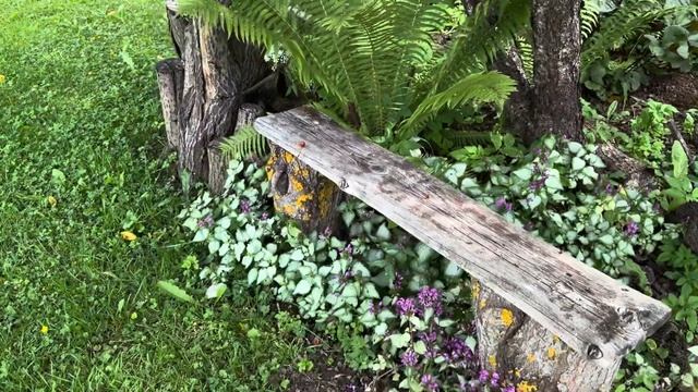 03.07.2024 Сад 6 лет спустя. До и ПОСЛЕ. смотреть онлайн