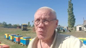 Осень на пасеке. СОВЕТЫ начинающим Пчеловодам.