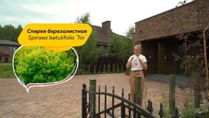 Сад в стиле минимализм | Входная группа | Кадочное озел