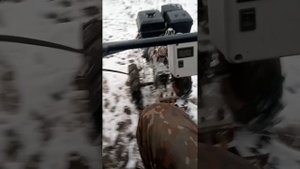мотоблок "УГРА" с ездовым адаптером (UGRA motor cultivator with a ridi