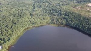 люблино