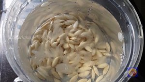 КАК  ПРАВИЛЬНО СОБРАТЬ СЕМЕНА ОГУРЦОВ ДЛЯ БУДУЩЕГО УР?