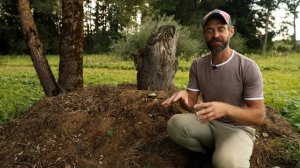 Вермикомпост, биогумус - продукт дождевых червей.