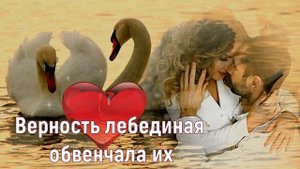 ❤️️ ПЕСНЯ О ЛЮБВИ!!! Верность лебединая обвенчала их!!