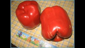 Перець геракл: великоплідний пізньостиглий сорт