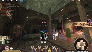 Играю с синем котом в дорс