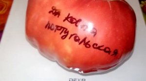 Томат Да Коста португальская DaCosta's Portuguese