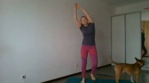 Каошики обучение техники