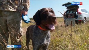 В Адыгею съехались больше 50 охотников со своими четвероногими помощниками