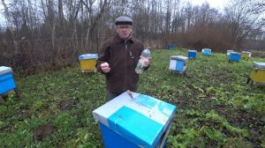 Обработка пчёл бипином осенью.