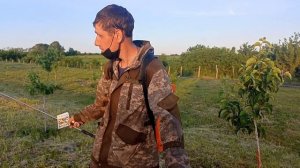 Обработка яблонь от насекомых и вредителей .