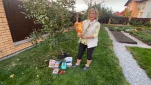 Как подготовить плодовый сад к зиме!