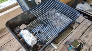 Караси горячего копчения, на гриле Weber Go-Anywhere (Походный