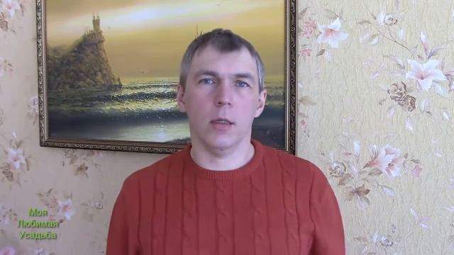 СЕМЕНА ТОМАТОВ//ПОДГОТОВКА СЕМЯН К ПОСАДКЕ//МОЯ ЛЮБИМА смотреть онлайн