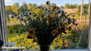 ЖИЗНЬ В ДЕРЕВНЕ Природа Удмуртии, краски лета, цветущи