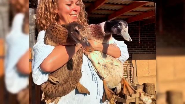 Влог с Кубани нас завалило урожаем Петровчанка Лера ga