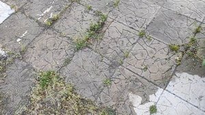 Как убрать сорняки между плиток