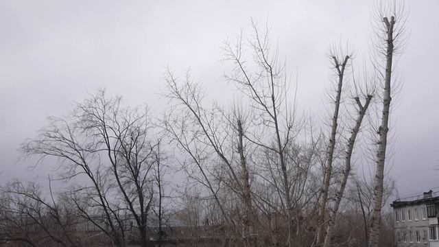 Почки набухают. Апрель 2024 смотреть онлайн