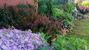 Вот и лето пришло. Небольшая прогулка по саду. Додекат?