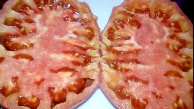 Томат Минусинский безразмерный