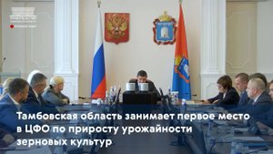 Тамбовская область занимает первое место в ЦФО по приросту урожайности зерновых культур
