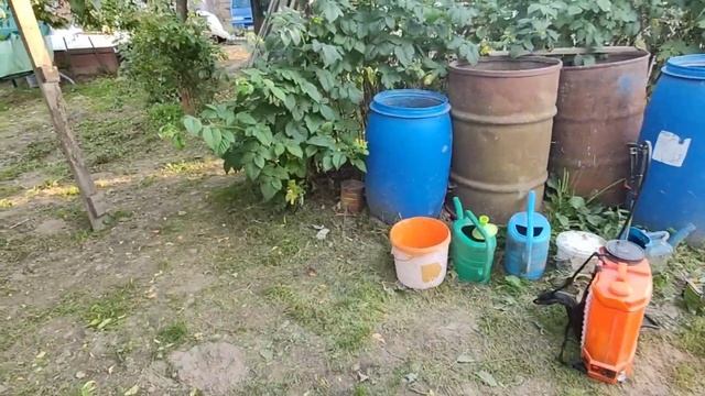 29 июля 2025 года. Обработка винограда коллойдной серой. ? смотреть онлайн