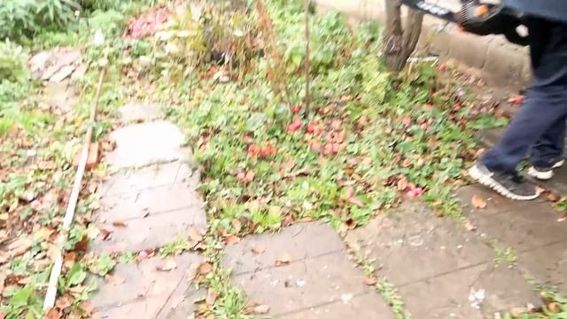 ДАЧНЫЙ ВЛОГ. СНОВА САЖАЮ. КОНКУРС смотреть онлайн