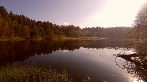Про рыбалку бла бла бла и...
