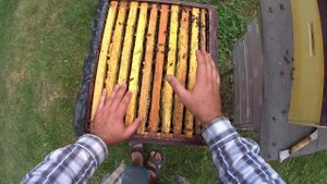 Сборка гнезда в зиму в корпусном улье! Нехватка мёда в