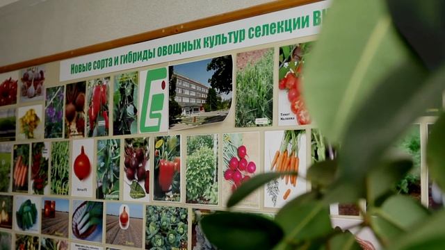 Трейлер к фильму, посвященному 100-летию ФГНБУ "ФНЦО" (ВН смотреть онлайн